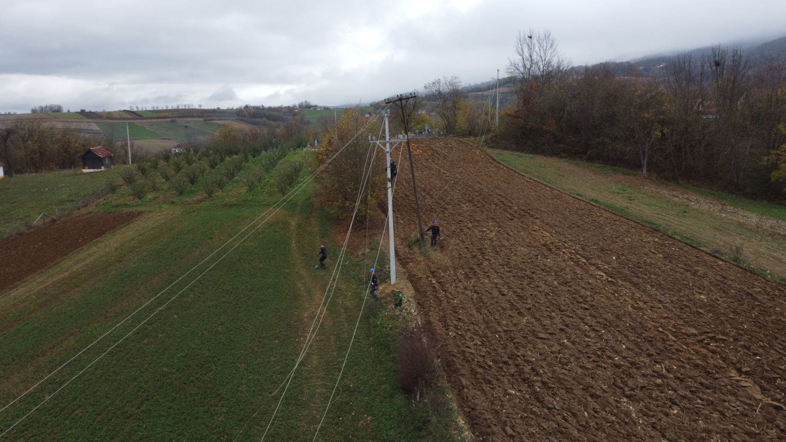 viber_image_2026-03-13_21-08-30-148